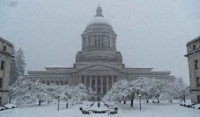 Snowycapital Snowycapital